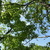 Image-square_50
