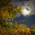 Image-square_50