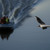 Image-square_50