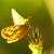 Image-square_50