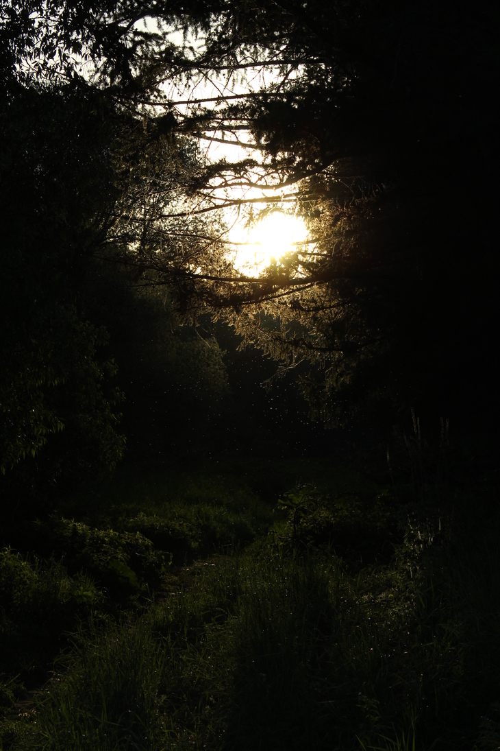 Image-normal