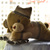 Image-square_50