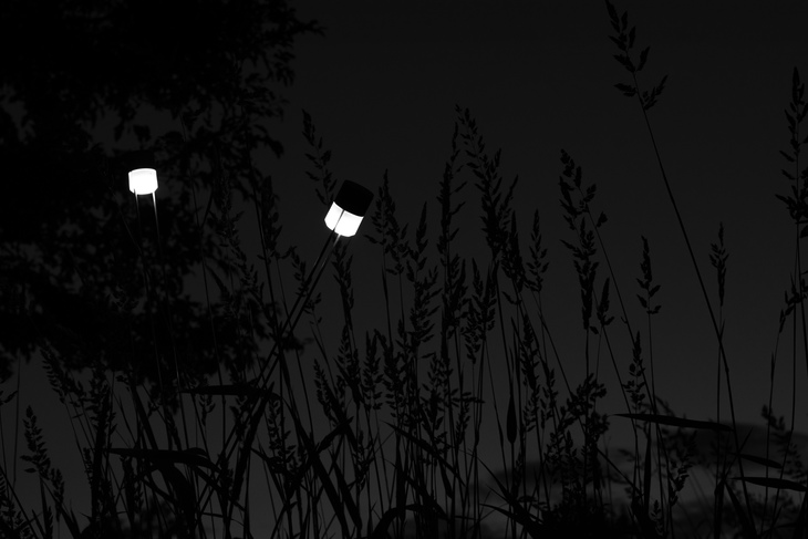 Image-normal