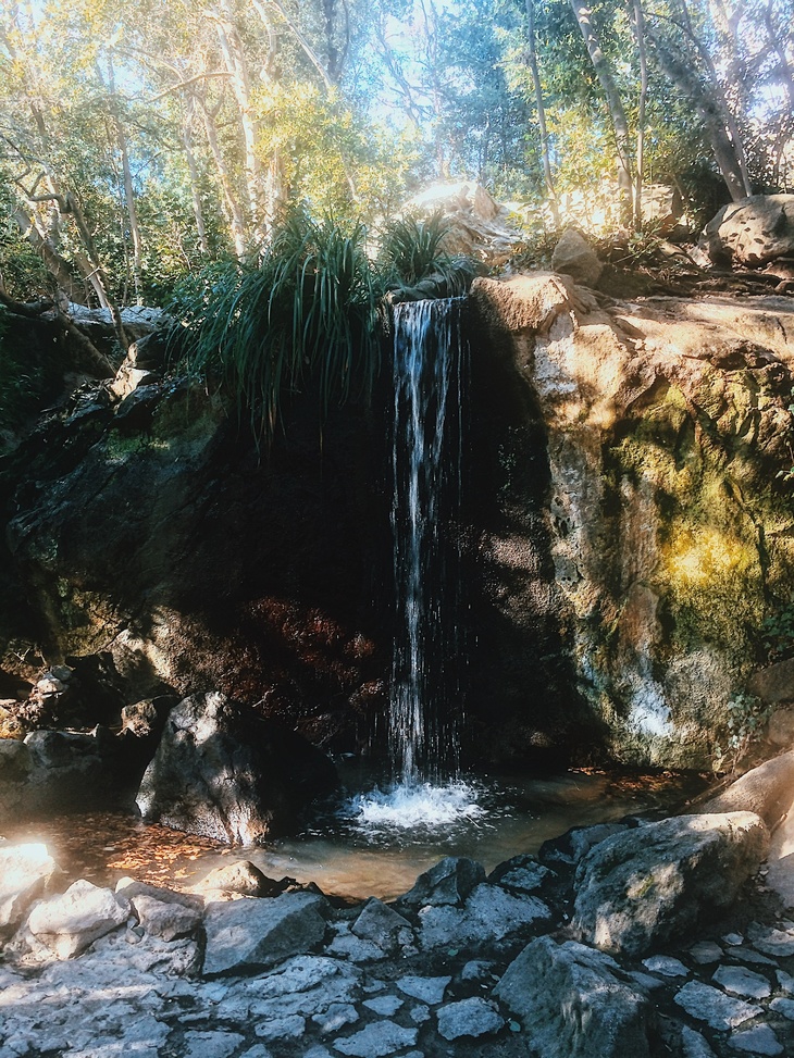 Image-normal