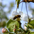 Image-square_50