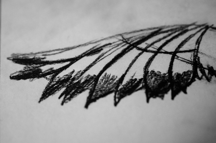 Image-normal