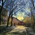 Image-square_50