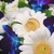 Image-square_50