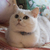Image-square_50