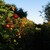 Image-square_50