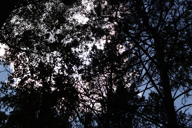 Image-normal