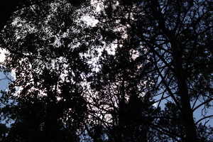 Image-preview_300x200