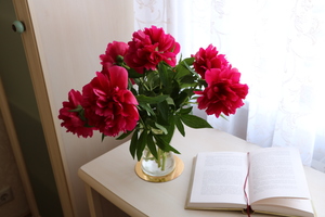 Image-preview_300x200