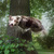 Image-square_50