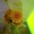Image-square_50