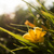 Image-square_50