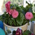 Image-square_50