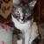 Image-square_50