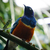 Image-square_50