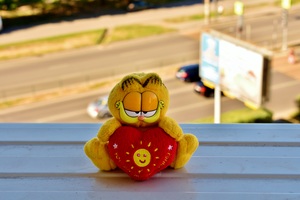 Image-preview_300x200