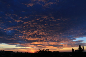 Image-preview_300x200