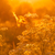 Image-square_50