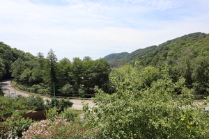 Image-preview_300x200