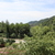 Image-square_50