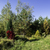 Image-square_50