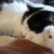 Image-square_50