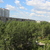 Image-square_50