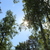 Image-square_50