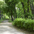Image-square_50