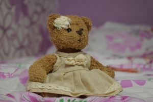Image-preview_300x200