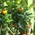 Image-square_50