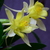 Image-square_50