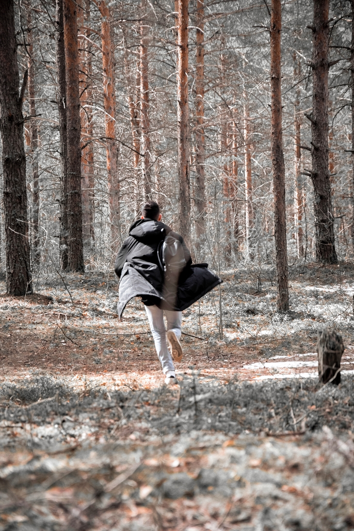 Image-normal