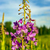 Image-square_50