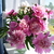 Image-square_50