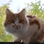 Image-square_50