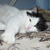 Image-square_50