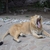 Image-square_50