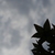Image-square_50