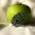 Image-square_50