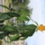 Image-square_50