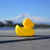 Image-square_50