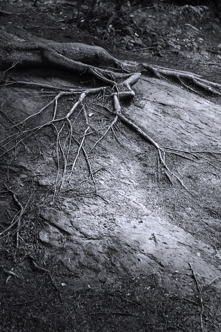 Image-normal