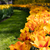Image-square_50
