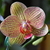 Image-square_50