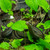 Image-square_50